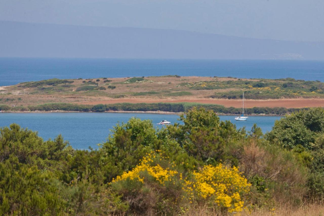 Villa Bella - Beautiful And Modern House With Pool, Souna, Jacuzzi & Playground, Liznjan - Istra Bagian luar foto